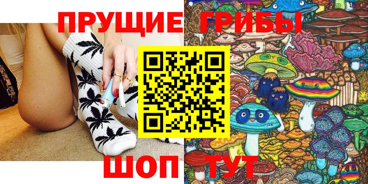 Галлюциногенные грибы Psilocybe Курчатов