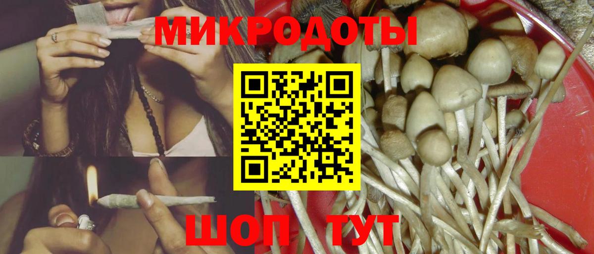 Курчатов  Псилоцибиновые грибы ЛСД  даркнет сайт  Вход с VPN 